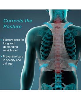 Posture Corrector Chair Ergonomic Back Lumbar Hip Support Office Chair  Cushion Student Sitting Cushion Chair Waist Protector Chair Fitness  Accessories - Temu United Arab Emirates